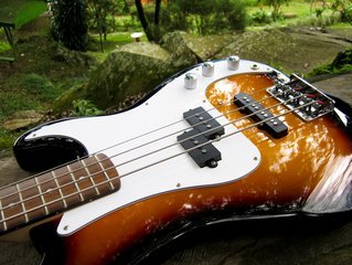 bass-laying-1412223.jpg